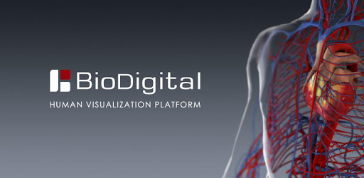 Biodigital 3d